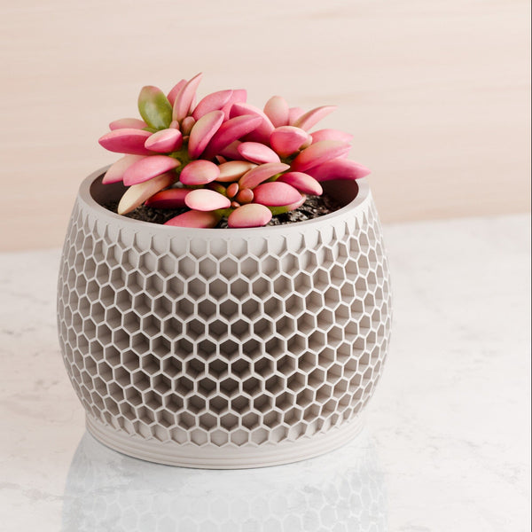 Honeycomb Planter