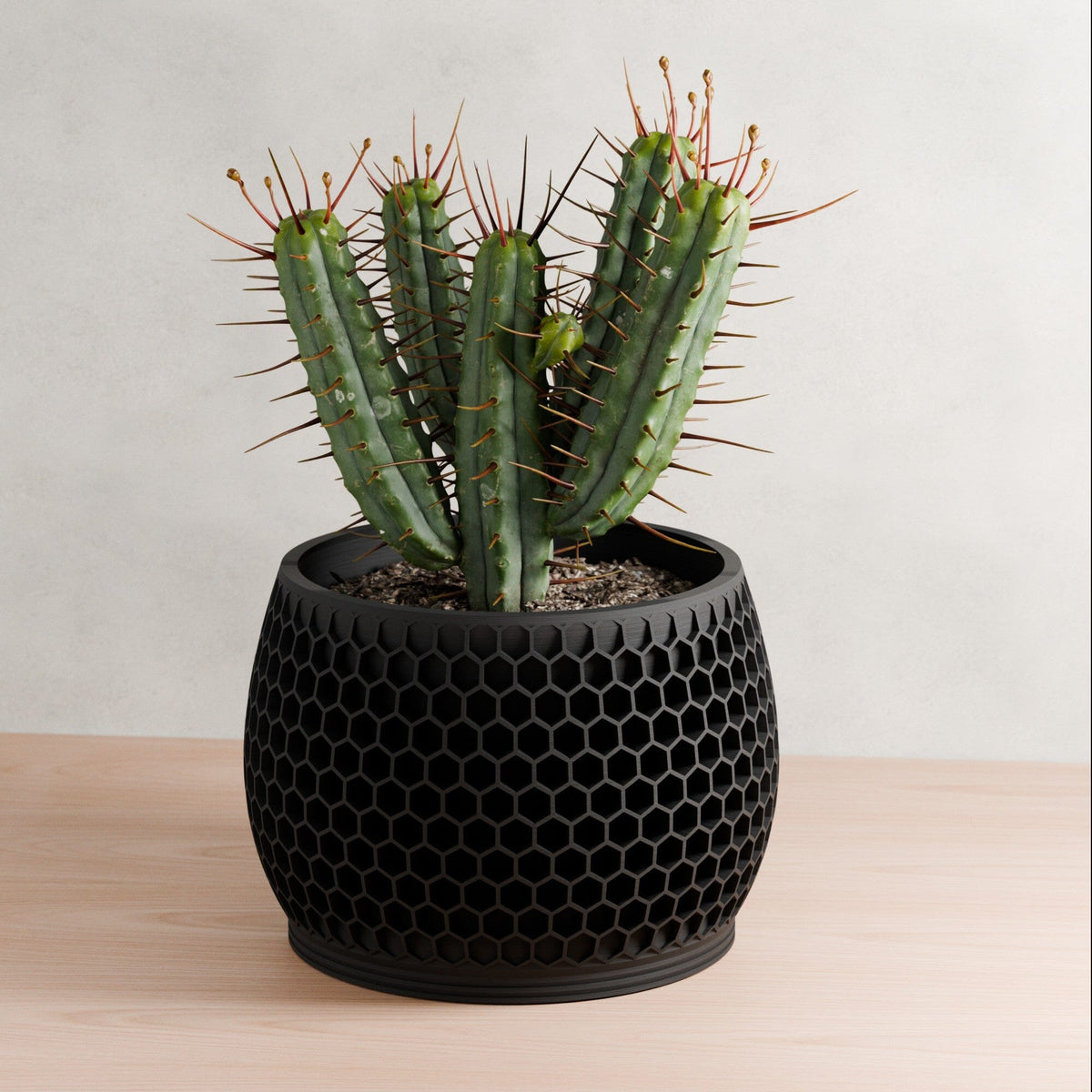 Honeycomb Planter