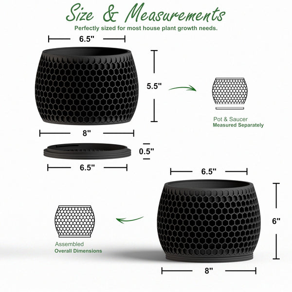 Honeycomb Planter