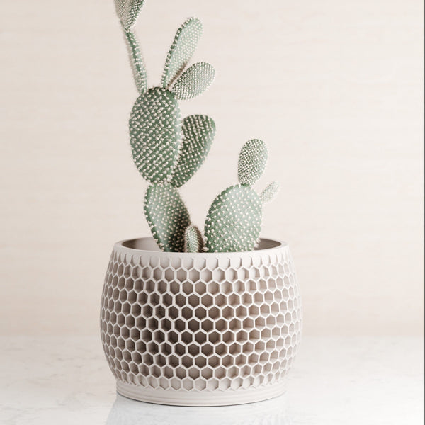 Honeycomb Planter