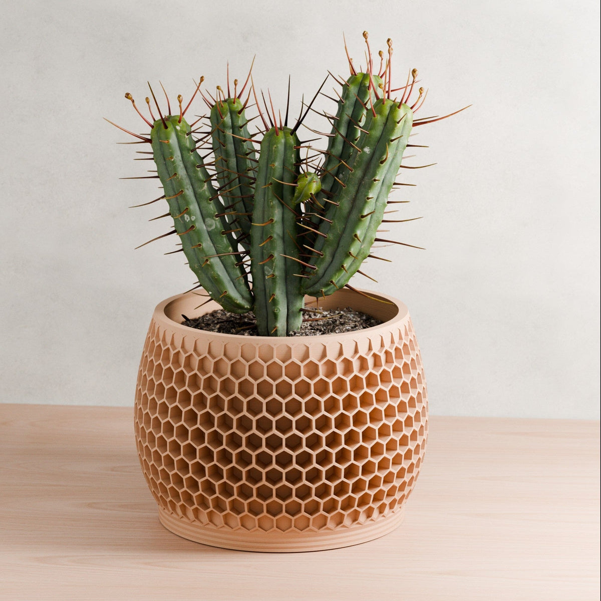 Honeycomb Planter