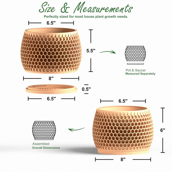 Honeycomb Planter