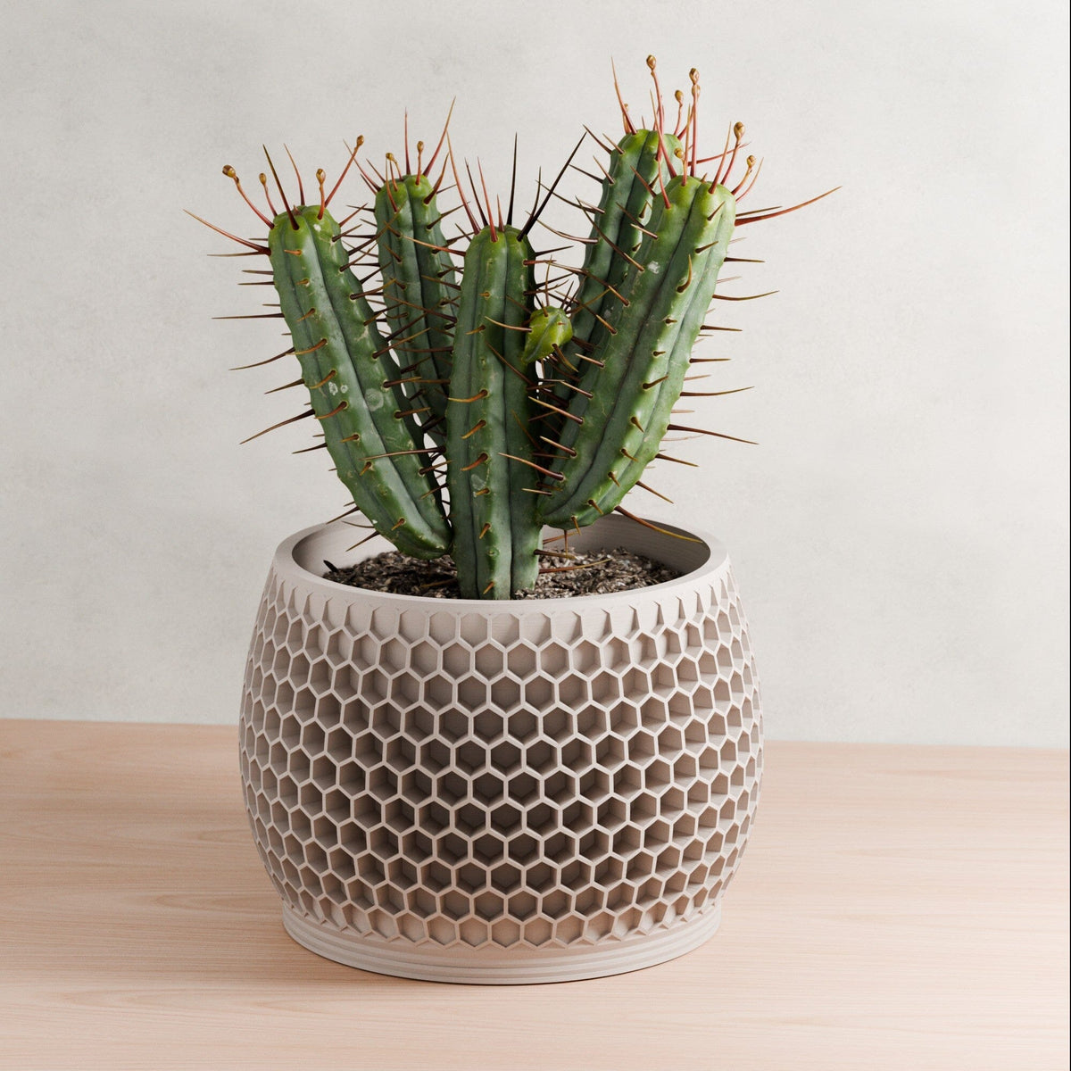Honeycomb Planter