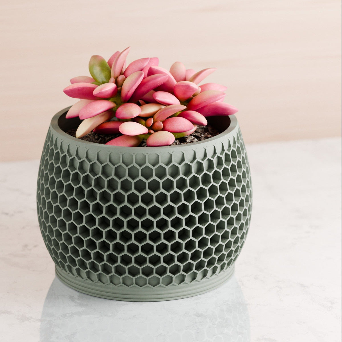 Honeycomb Planter
