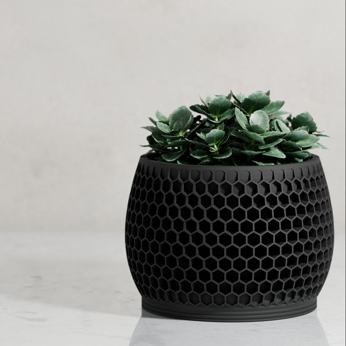 Honeycomb Planter