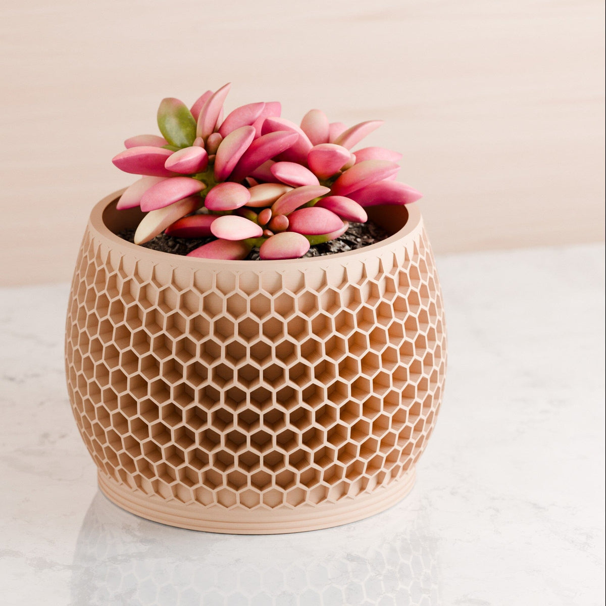 Honeycomb Planter