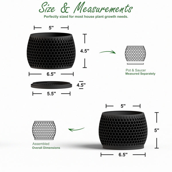 Honeycomb Planter