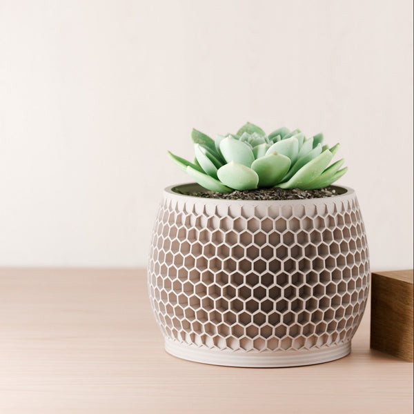 Honeycomb Planter