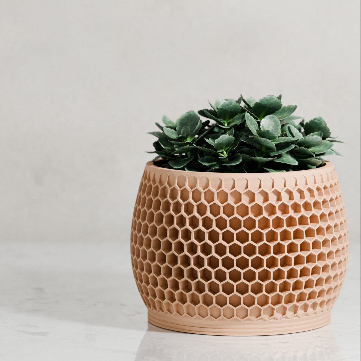 Honeycomb Planter