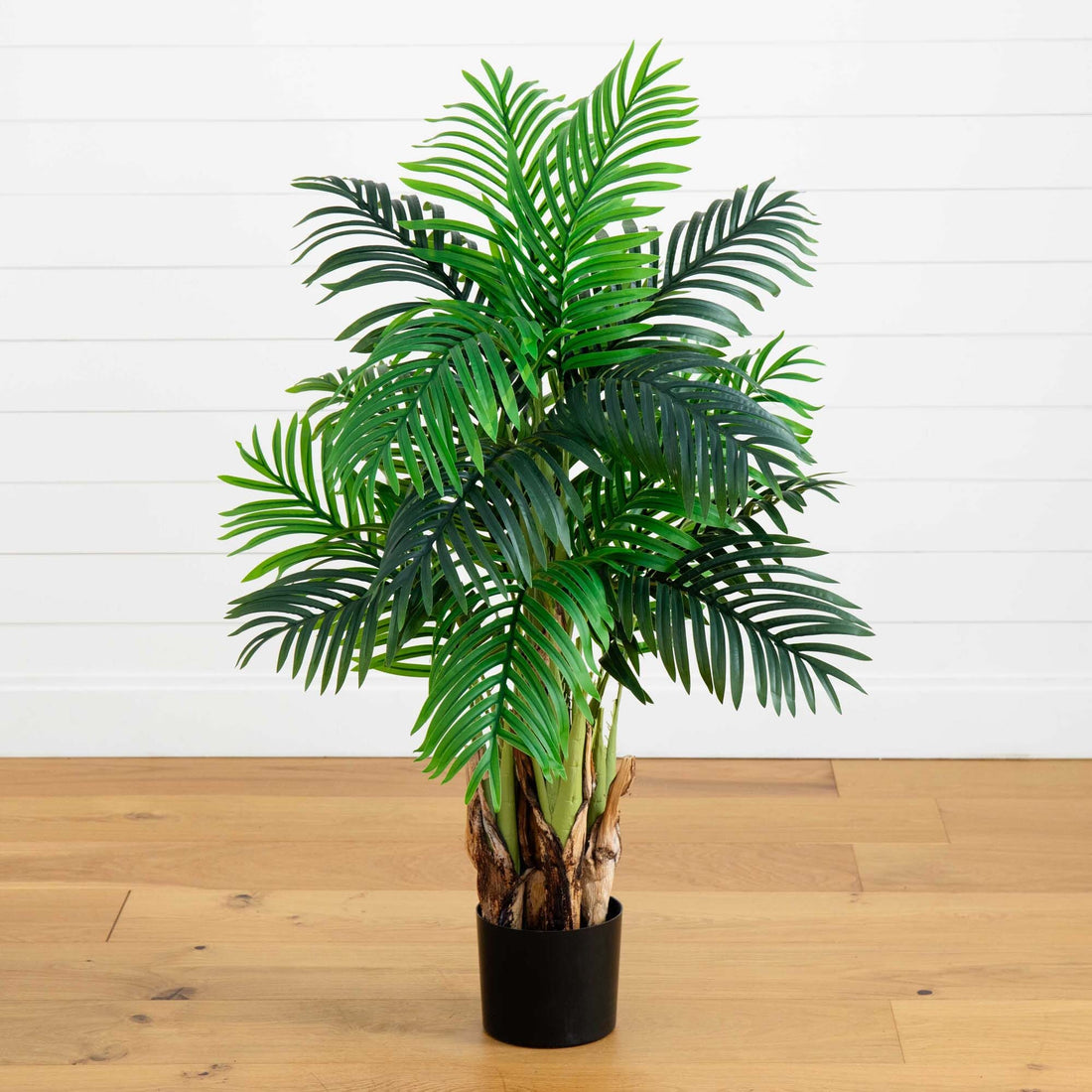 areca palm or kentia palm Kentia Palm Artificial Tree