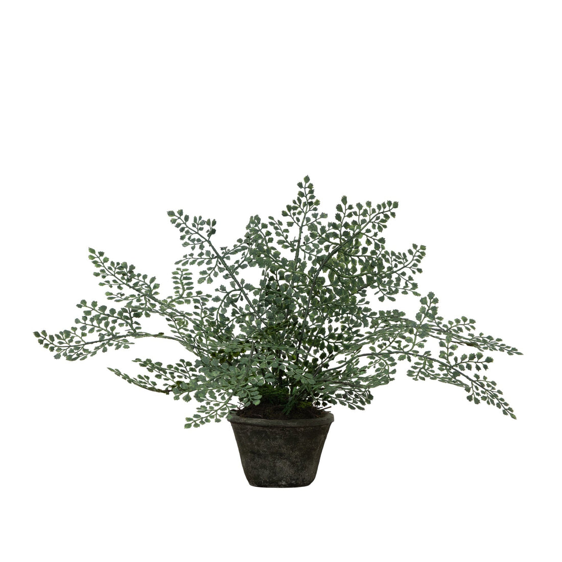indoor plants that look like hair Maiden Hair Artificial Plant in Decorative Planter