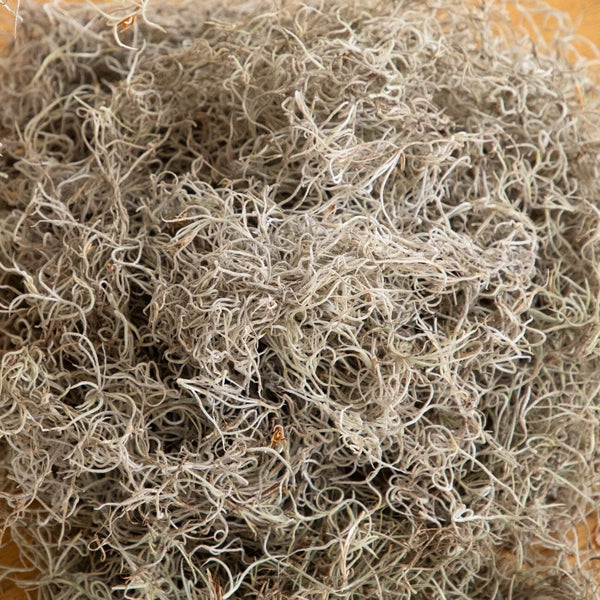 Natural Spanish Moss - 5Lbs