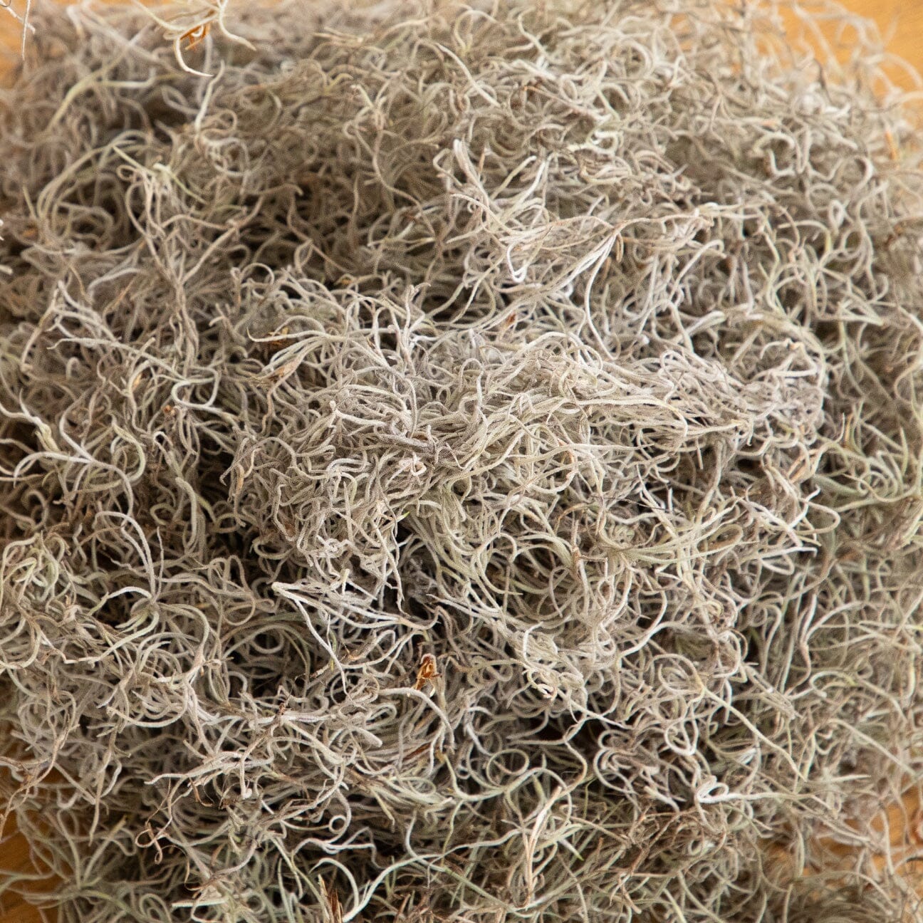 Natural Spanish Moss - 5Lbs