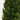 4' Cedar Tree Silk Tree (Indoor/Outdoor)
