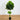Schefflera Artificial Tree UV Resistant (Indoor/Outdoor)