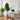corner of living room with 3 faux plants next to a sofa