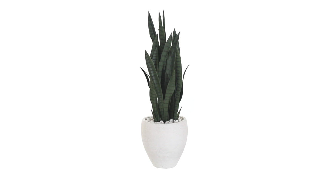 51” Sansevieria Artificial Plant in White Planter