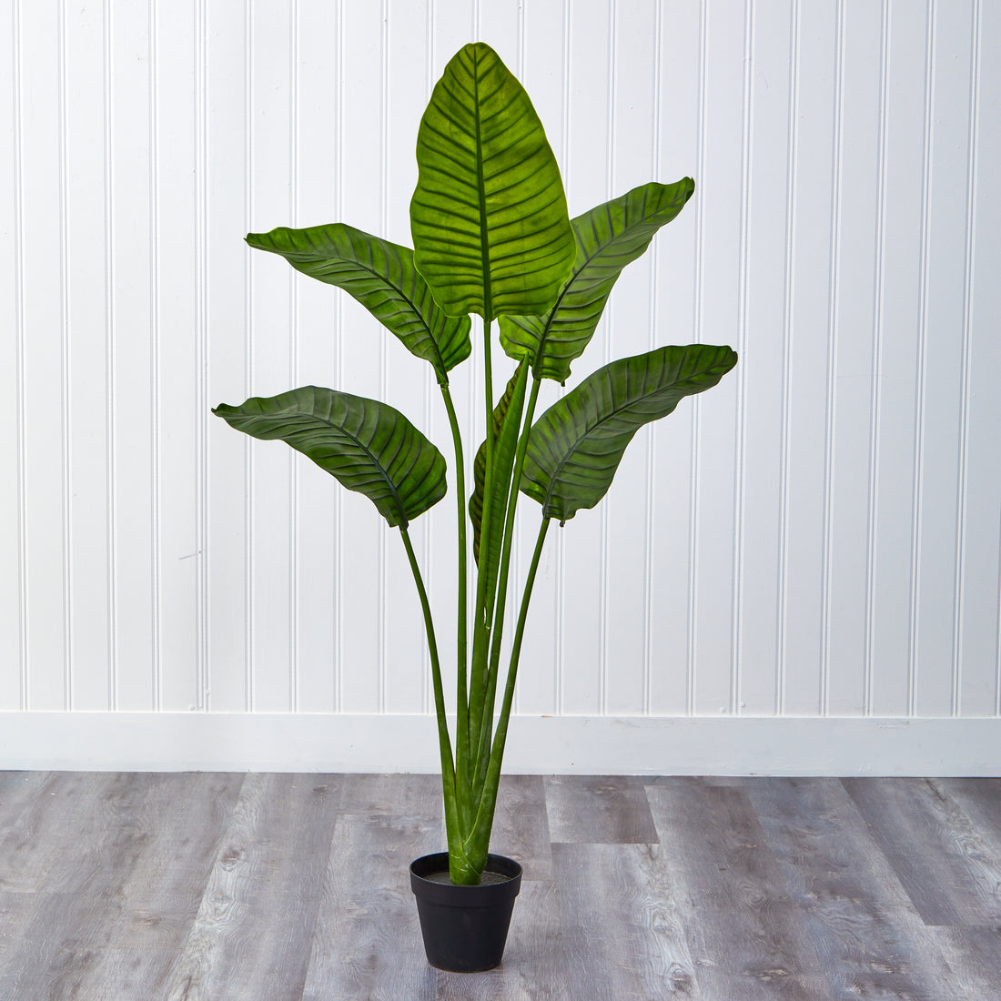 palm leaf plants outdoor Nearly Natural Travelers Palm Indoor/Outdoor UV Resistant Tree, 64"