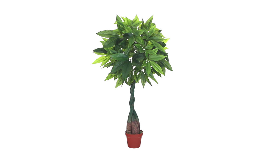 money trees near me 4' Money Plant (Real Touch)