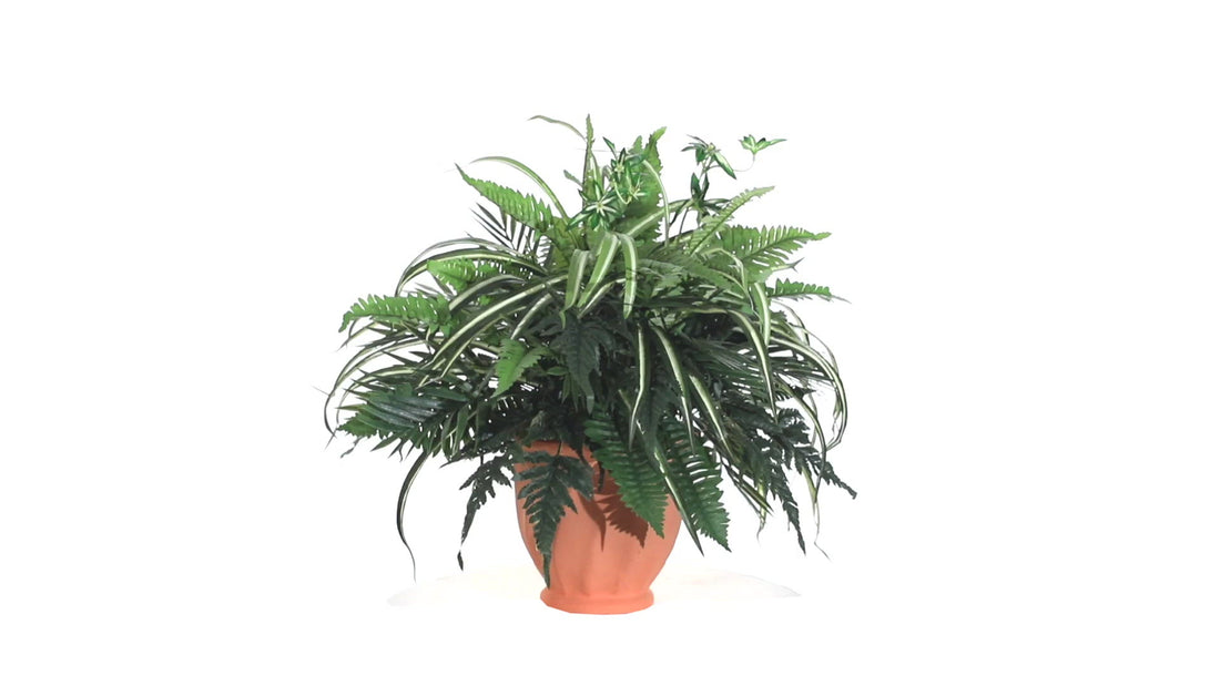 faux plant in terracotta pot 23” Mixed Greens and Fern Artificial Plant in Terra Cotta Planter
