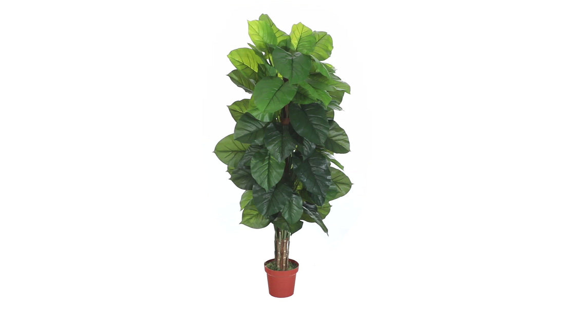 philodendron silk plant 63