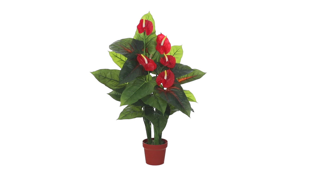 anthurium plant touch leaf and mouth 3' Anthurium Silk Plant (Real Touch)
