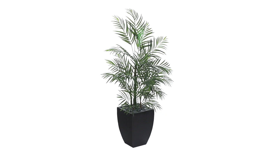 4.5 areca palm silk tree with basket 4.5' Areca Palm Tree with Black Wash Planter UV Resistant (Indoor/Outdoor)