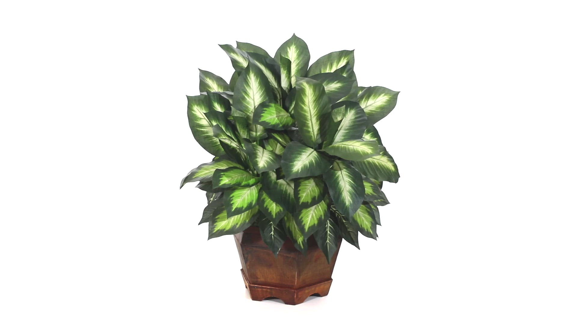 Golden Dieffenbachia Silk Plant | Nearly Natural
