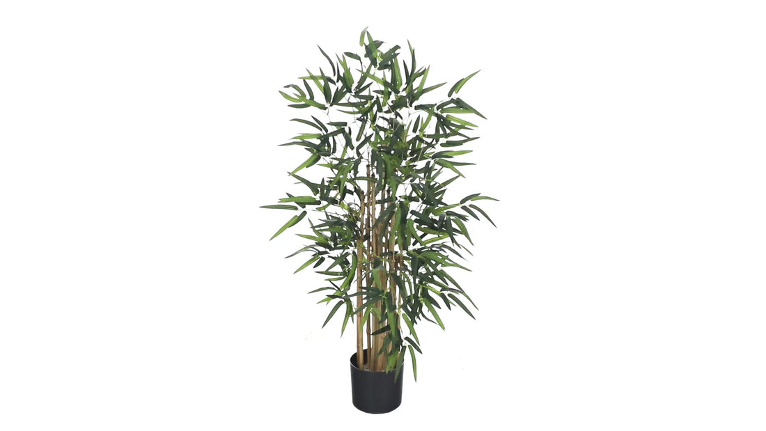 3.5' Twiggy Bamboo Tree