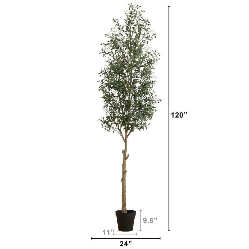 Faux Olive Tree Family | Fake Olive Tree Collection | Nearly Natural