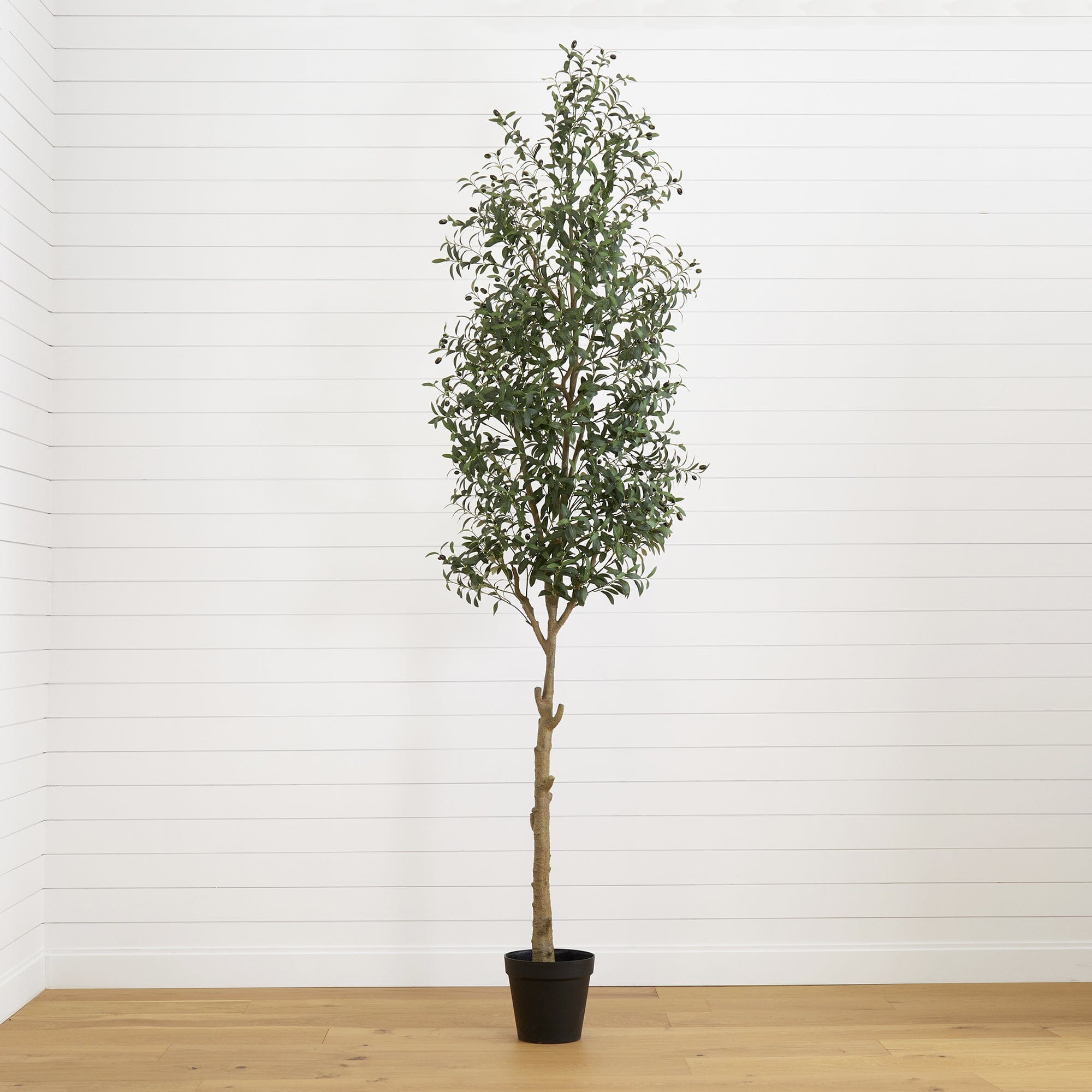 artificial-10-artificial-olive
