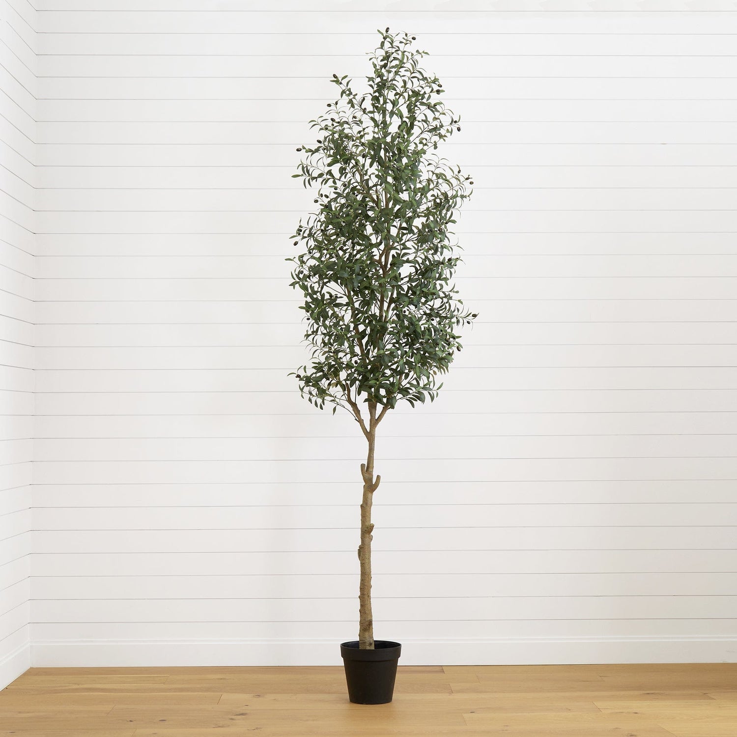10’ Artificial Olive Tree