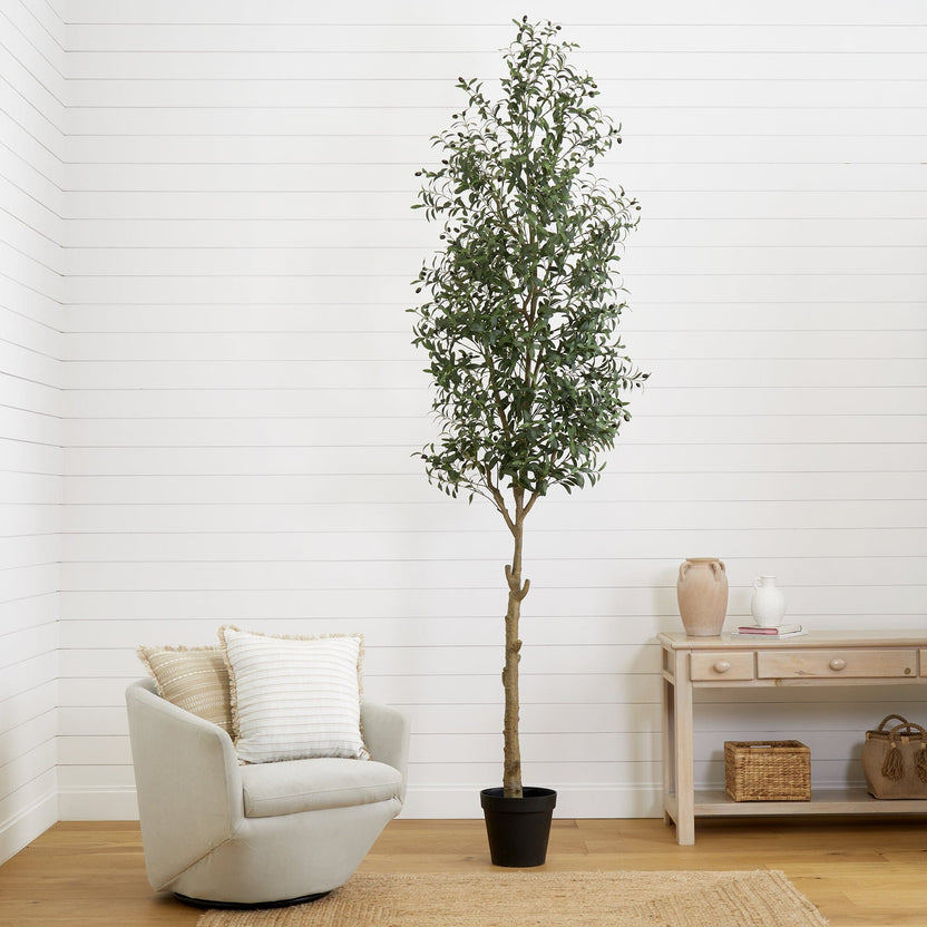 Faux Olive Tree Family Fake Olive Tree Collection Nearly Natural