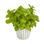 10” Basil Artificial Plant in White Planter with Silver Trimming