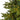 Artificial Christmas Tree