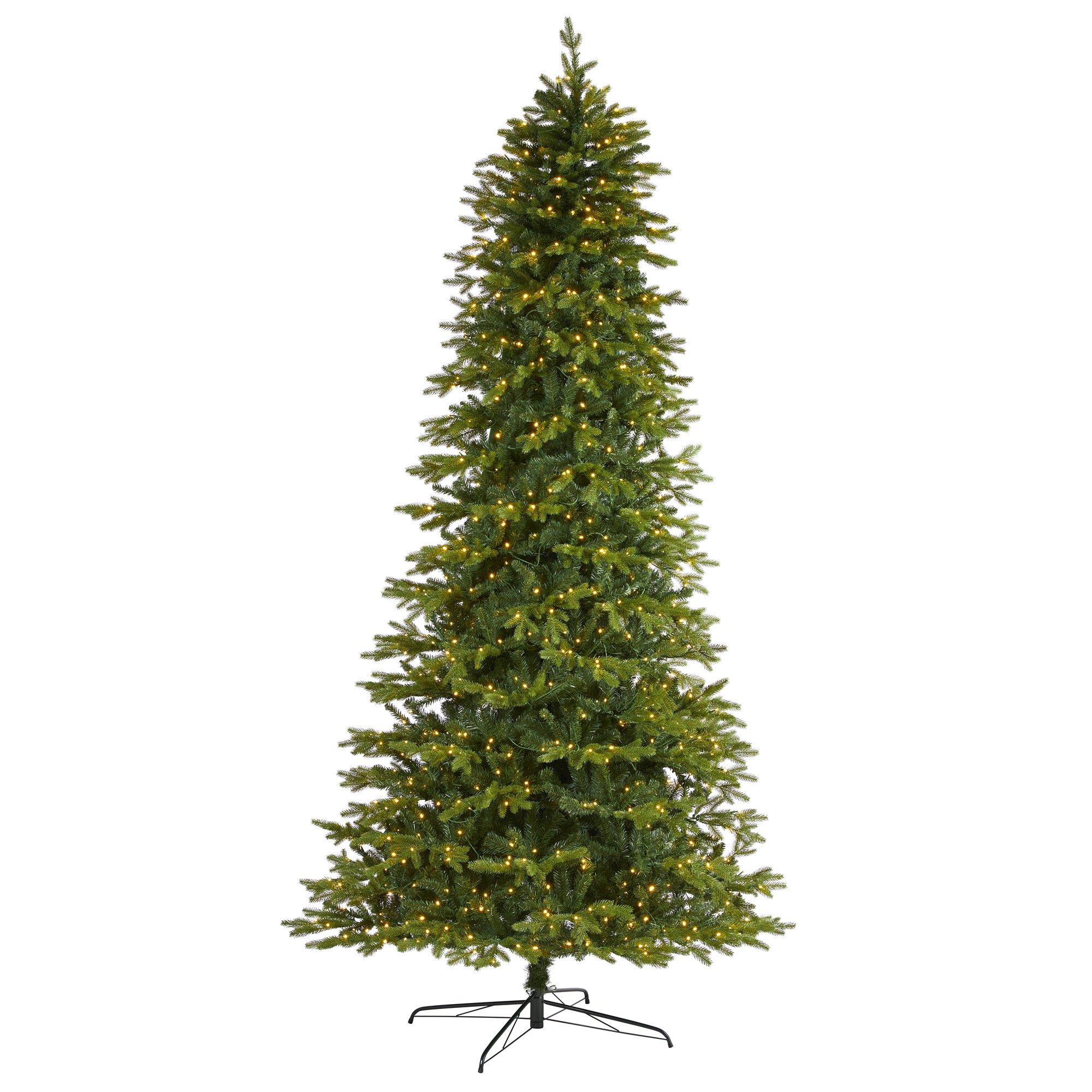 10 on sale foot tree