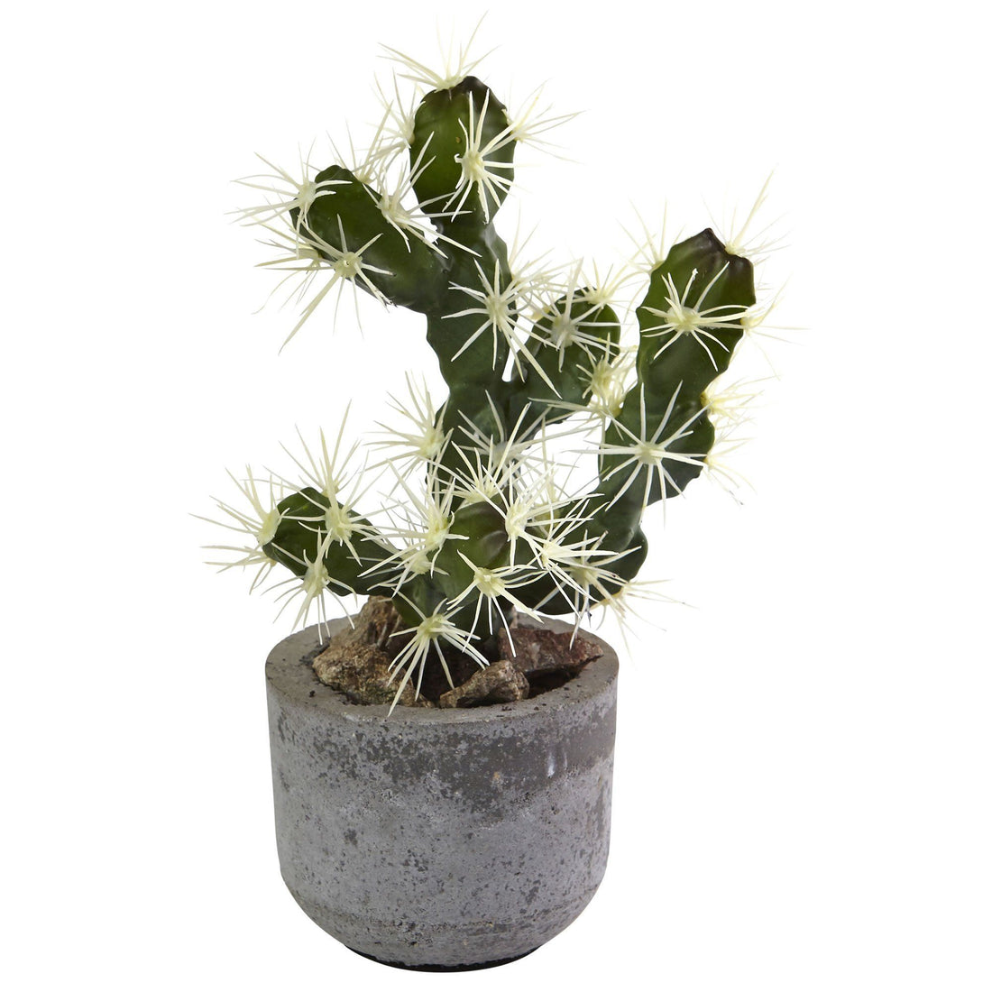 escapists 2 potted plant 10” Cactus Potted (Set of 2)