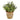 10” Eucalyptus and Sedum Succulent Artificial Plant in Ceramic Planter