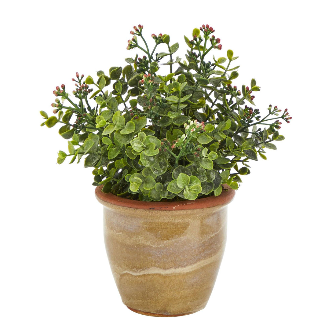 succulents and eucalyptus 10” Eucalyptus and Sedum Succulent Artificial Plant in Ceramic Planter