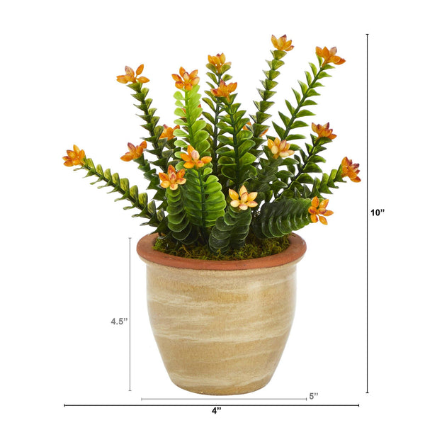 10” Flowering Sedum Succulent Artificial Plant in Ceramic Planter