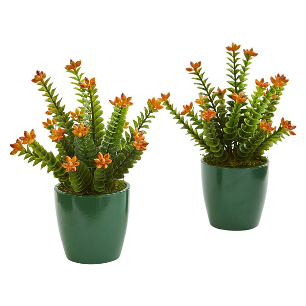 10" Sedum Succulent Artificial Plant in Green Planter (Set of 2)"