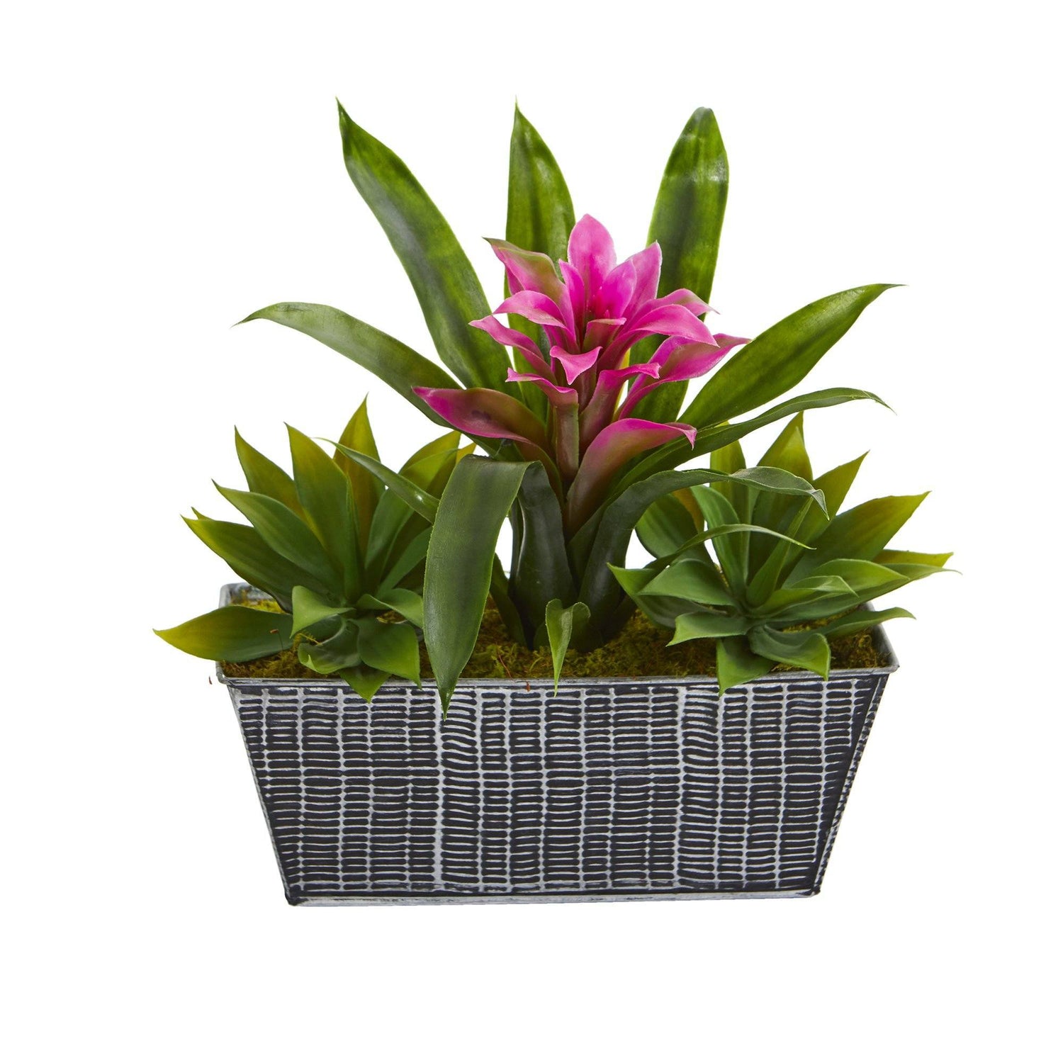 11” Bromeliad and Agave Plant in Black Tin Planter