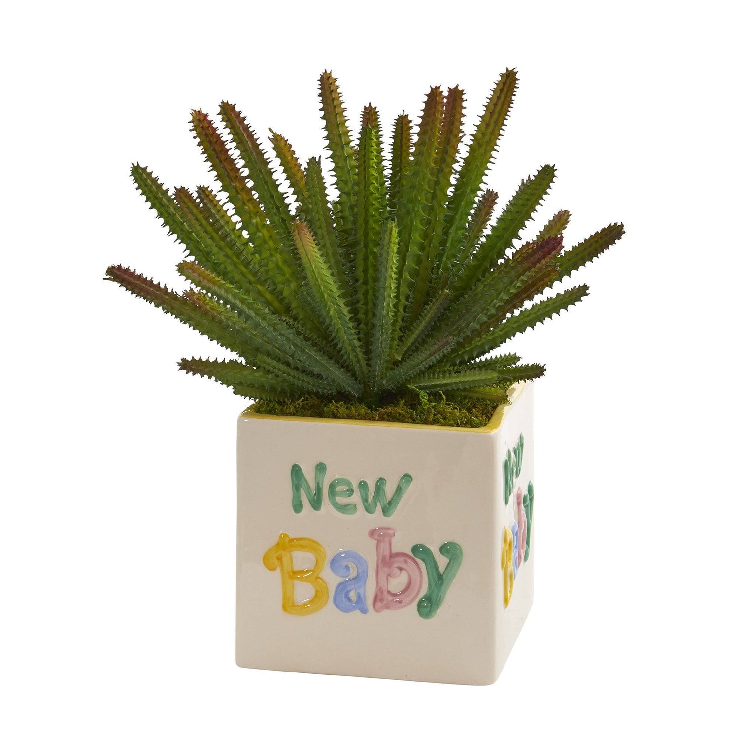 11” Cactus Artificial Plant in “New Baby” Planter