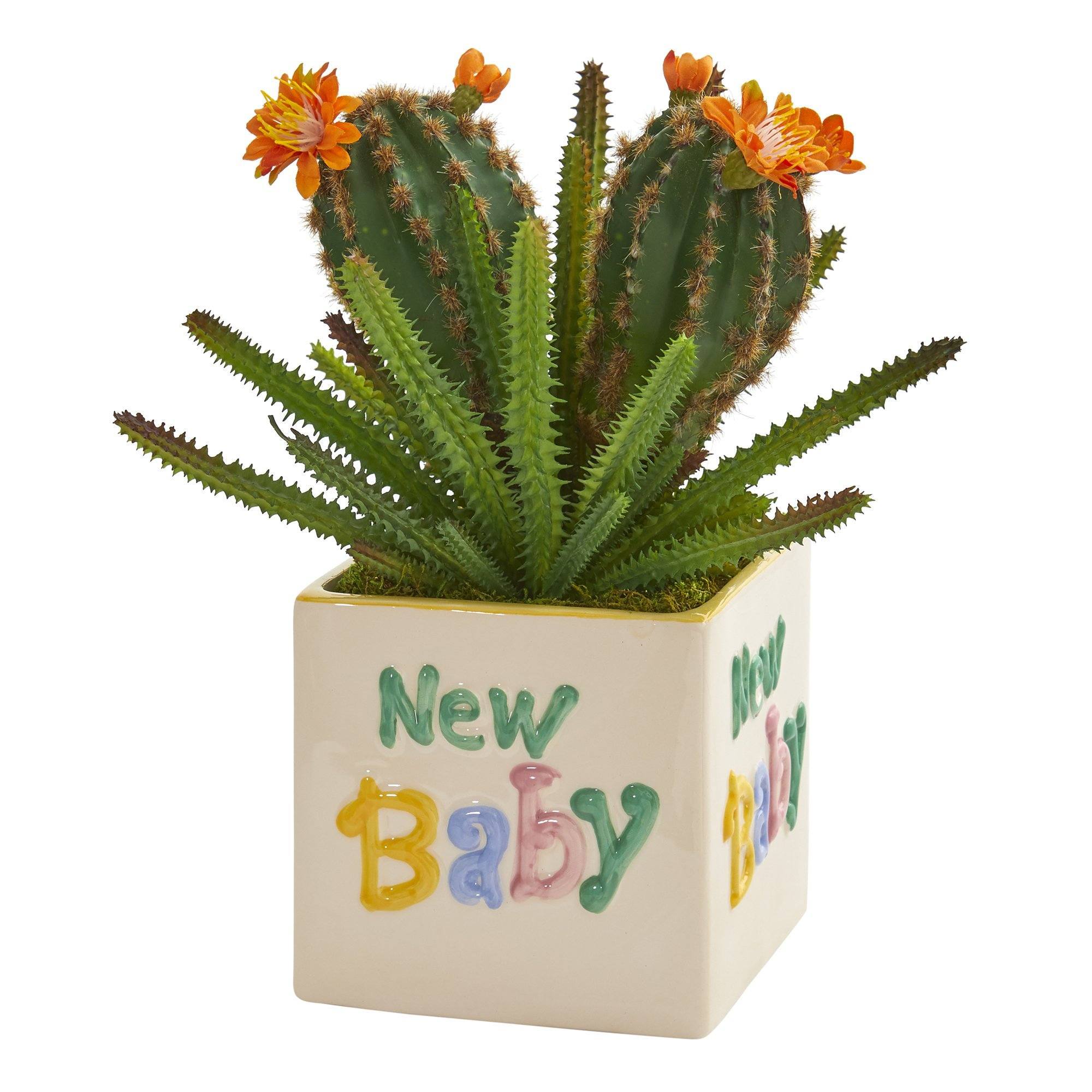 11” Cactus Succulent Artificial Plant in “New Baby” Planter | Nearly