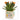 11” Cactus Succulent Artificial Plant in “New Baby” Planter