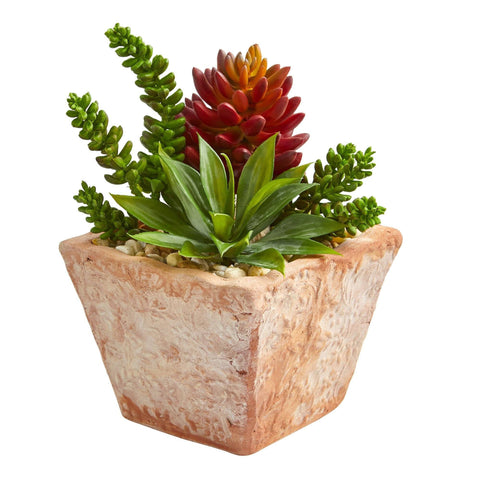 amazon faux succulents 11” Mixed Succulents Artificial Plant in Small Terra Cotta Vase