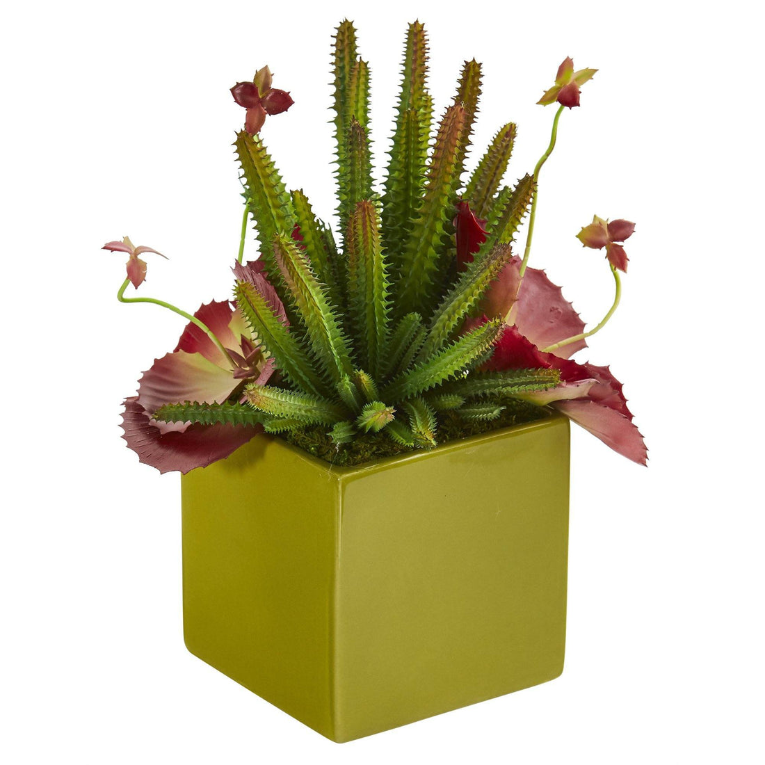 nearly natural succulents 11” Succulent Artificial Plant in Green Planter