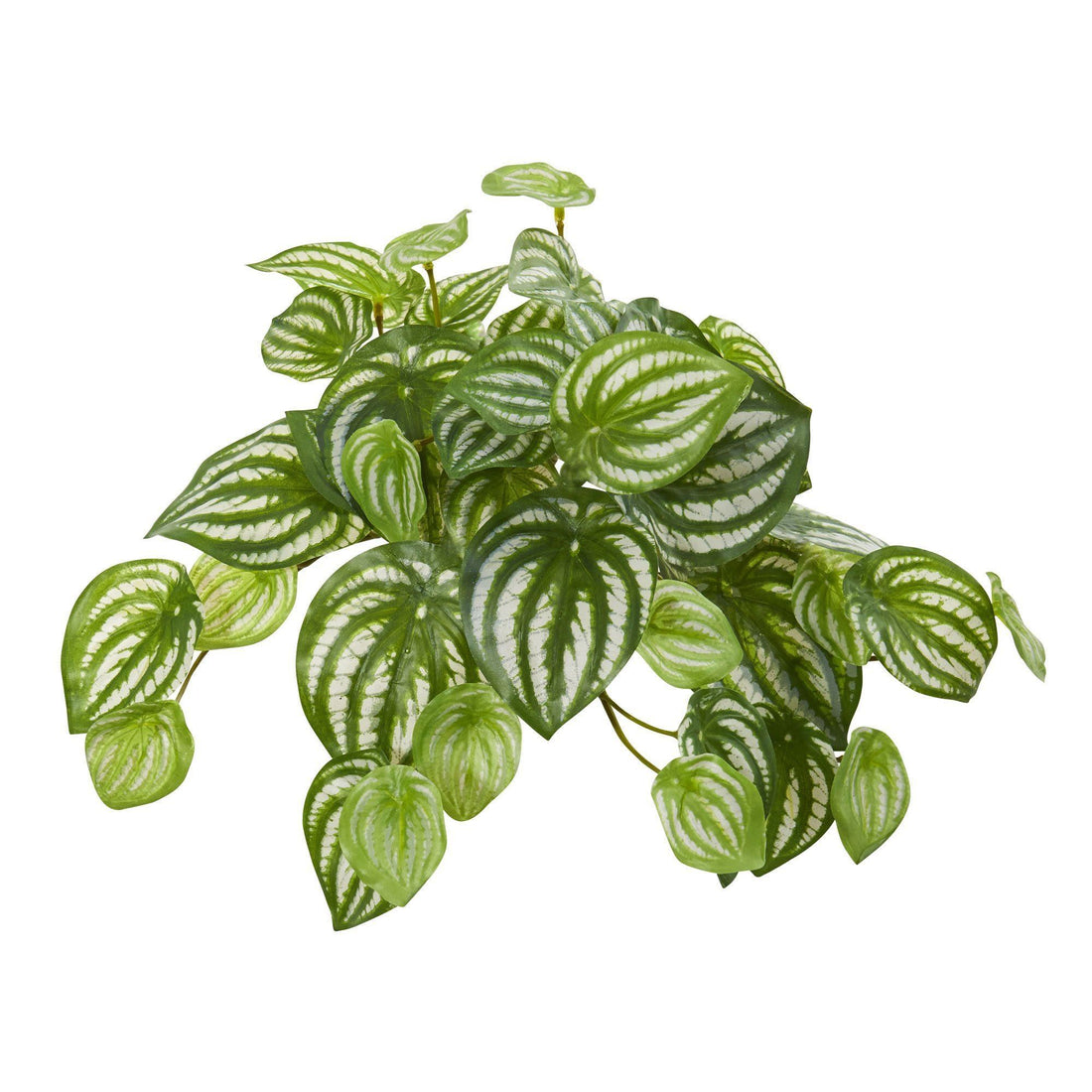 watermelon hanging plant 11” Watermelon Peperomia Hanging Artificial Bush Plant (Set of 12) (Real  Touch)
