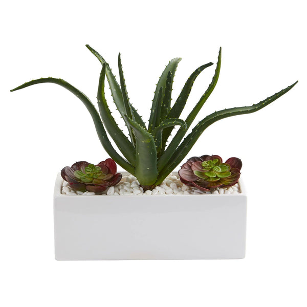 12” Aloe and Echeveria Succulent Artificial Plant in White Planter