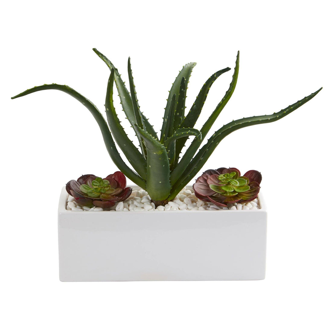 can aloe and succulents be planted together 12” Aloe and Echeveria Succulent Artificial Plant in White Planter